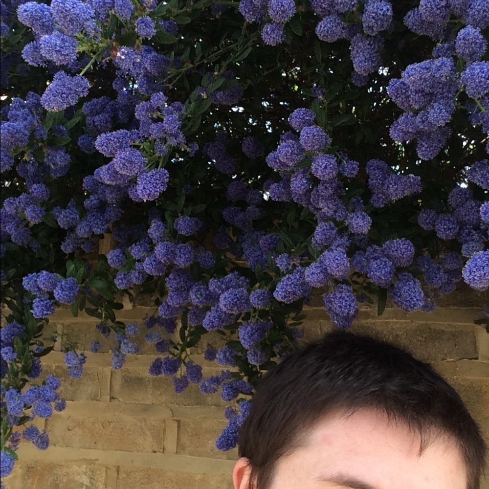 Meet your Posher, Joyce